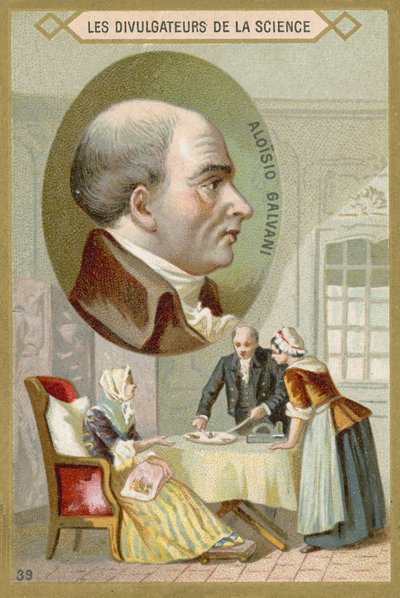 Luigi Galvani , italský lékař a fyzik od French School