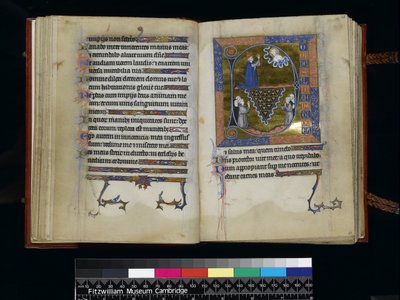 MS 300 f25v-26r, David se modlí k Bohu, ze Žaltáře a hodin Isabely Francouzské, Paříž, kolem 1265-70 od French School