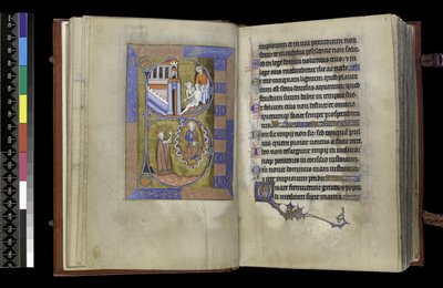 MS 300 f.XIII-1r, ze Žaltáře a hodin Isabely Francouzské, Paříž, kolem 1265-70 (pero a tuš a tempera na pergamenu) od French School