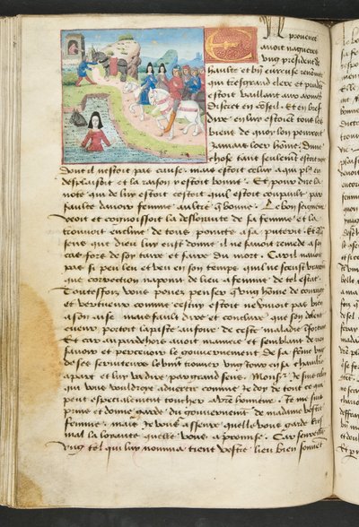 MS Hunter 252 110v Stránka z Cent Nouvelles Nouvelles, c.1461-62 od French School