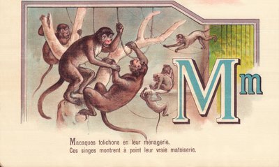 M: Makakové letáky v jejich zvěřinci, Tyto opice ukazují svou skutečnou matoiserii od French School