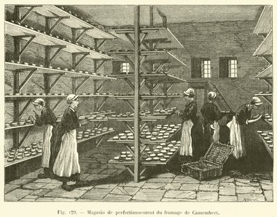 Prodejna hermelínového sýra (rytina) od French School