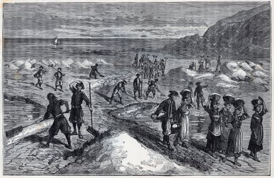 Marais salants de Bretagne v 19. století – rytina v „Vědách, které jsou vděčné za granty – fyzika a chemie“ od Alexise Clerca – konec 19. století – soukromá sbírka od French School