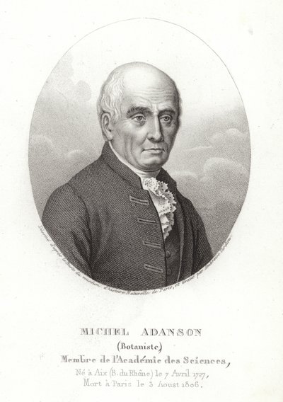 Michel Adanson od French School