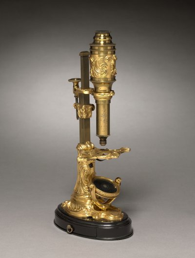 Mikroskop, kolem 1745-1765 od French School