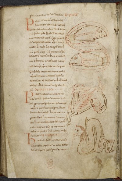 Různé práce o počítačích a astronomii, Royal MS 13 A XI od French School