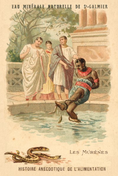 Murény (chromolitho) od French School