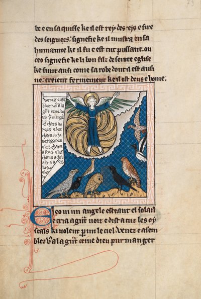 Ms65 f73r, Komentář k Apokalypse svatého Jana, konec 13. století (pero, inkoust a tempera na pergamenu) od French School