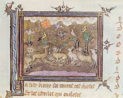 Ms 1044 fol. 18 The Creation of the Animals, from Ovide Moralise napsal Chretien Legouais od French School