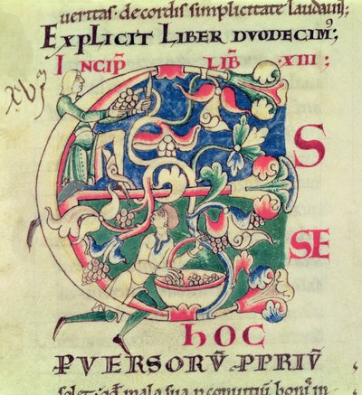 Ms 173 f.32 Historická iniciála E znázorňující sklizeň hroznů, z Moralia in Job od papeže Řehoře Velikého od French School