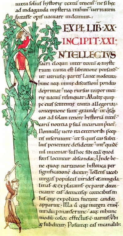 Ms 173 f.41 Historická iniciála I zobrazující mnicha a laika, jak kácí a prořezávají strom, z Moralia in Job od papeže Řehoře Velikého od French School