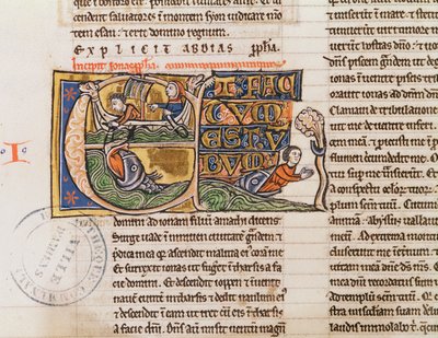 Ms 21 Fol.163v Historizovaná iniciála E zobrazující Jonáše vhozeného do moře, z blíže neurčené bible. od French School