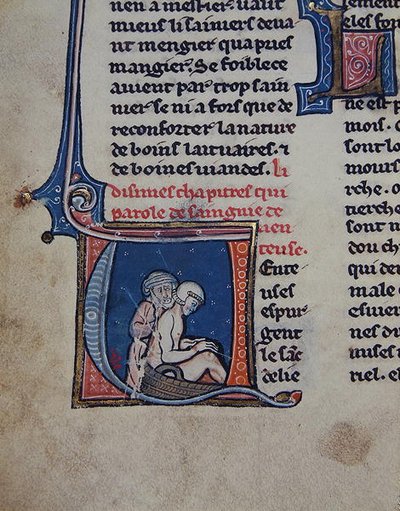 Ms 2510 Auskultace nemocného (pergamen) od French School