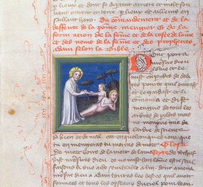 Ms 313 Stvoření Evy, z Bible des Grands Augustins, 1494 od French School