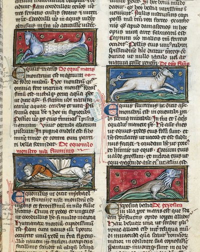 Ms 320 Fol.115r Sea Monsters, z „De Natura rerum“ od Thomase van Cantimpre (1201-72) (vellum) od French School