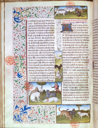 Ms 3717 Lovečtí psi, z Livre de la Chasse od Gastona Phebuse de Foix (1331-91) (vellum) od French School