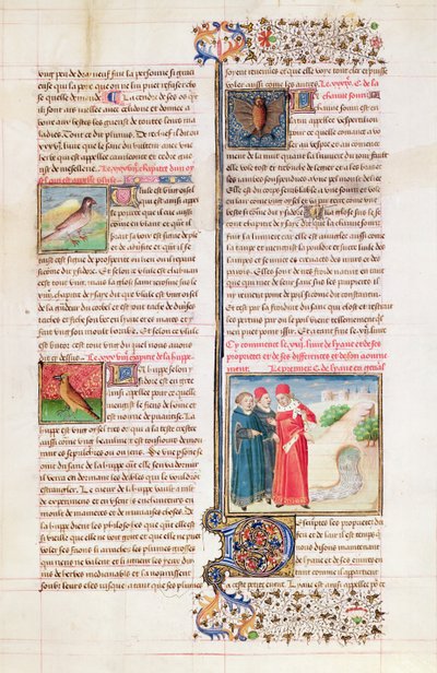Ms 399 fol. 149 Vlastnosti želvy, dudek a netopýra, z „Livre des Proprietes des Choses“ od Barthelemyho Angličana od French School