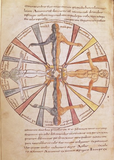 Ms 422 fol.6v Kolo ročních období a měsíců, z De Natura Rerum od sv. Isidora ze Sevilly od French School