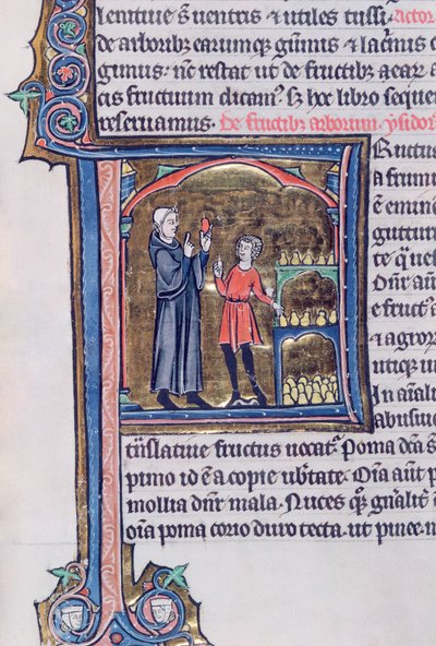 Ms 426 fol. 135 Výuka nejlepšího způsobu uchování hrušek, z Le Miroir de la Nature od Vincenta de Beauvais od French School