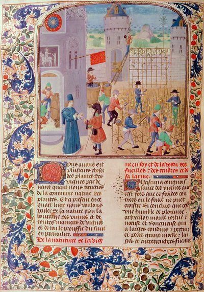 Ms 5064 fol.68v Práce na vinici, z Livre des Prouffitz Champestres od Pietra de Crescenzi (1230-1321) od French School
