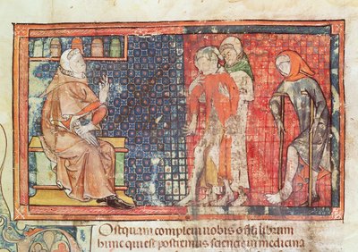 Ms 89 Ter fol.95 Nemocný muž a zmrzačený muž předložený lékaři, z pojednání Abul Qasim Kalaf ibn al-Abbas al Zahrawi (Albucasis) od French School