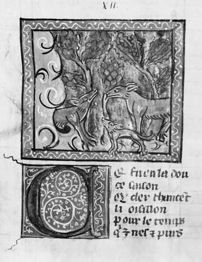 Paní Fr 1580 Liška, vlk a pes, z Le Roman de Renart od French School