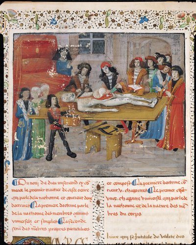 Paní H 184 fol.14v Pitevní lekce na lékařské fakultě v Montpellier, z „La Grande Chirurgie“ od Guye de Chauliac, 1363 od French School