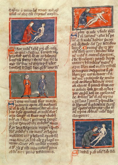 Paní H 89 fol.21v Anatomické postavy, z edice 