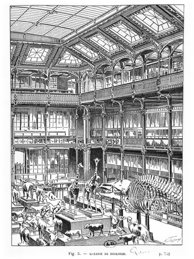 Přírodovědné muzeum v Paříži od French School
