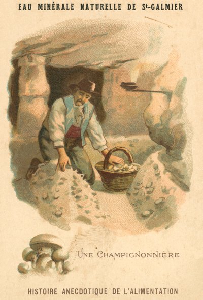 houbař (chromolitho) od French School