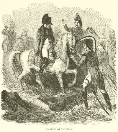 Napoleon u Waterloo (rytina) od French School