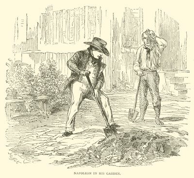 Napoleon ve své zahradě (rytina) od French School