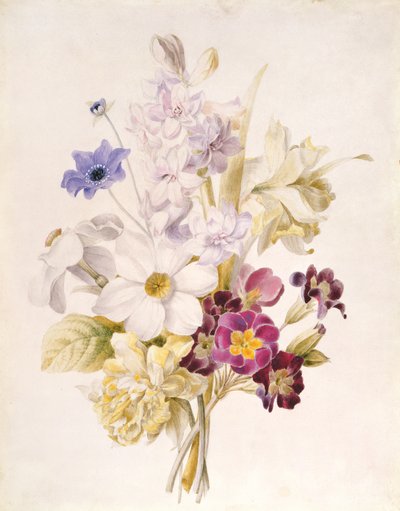 Narcis a jiné květiny, 1840 (wc na papíře) od French School