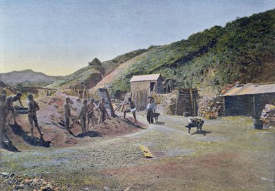 Niklové doly na východním pobřeží Nové Kaledonie, vyryté Gillotem, kolem roku 1900 od French School