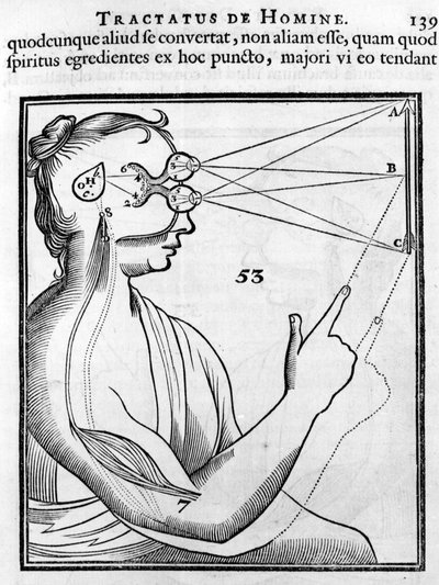 Oftalmologie: oko a zrak. Z „Tractatus de Homine“ od René Descartese od French School