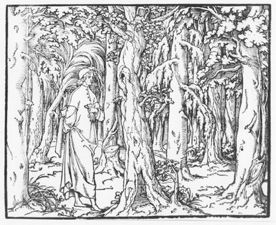 Stránka z "Discours du Songe de Poliphile", Francesco Colonna, 1546 od French School
