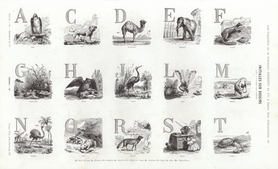 Stránka z typografických vinět (rytina) od French School