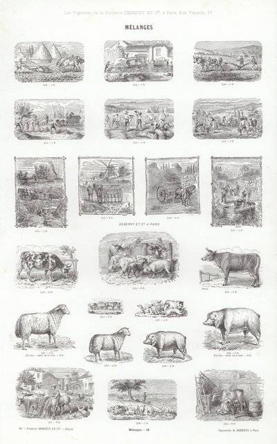 Stránka z typografických vinět (rytina) od French School