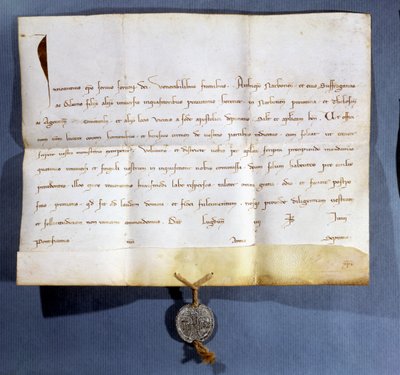 Papežská bula papeže Inocence IV. († 1254) proti albigenským od French School