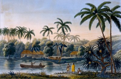 Část vesnice Matavae, kokosové palmy a další ovoce, Tahiti, z Voyage around the World on Corvette Coquille od poručíka Louis Isodore Duperrey, zveřejněno 1826 od French School