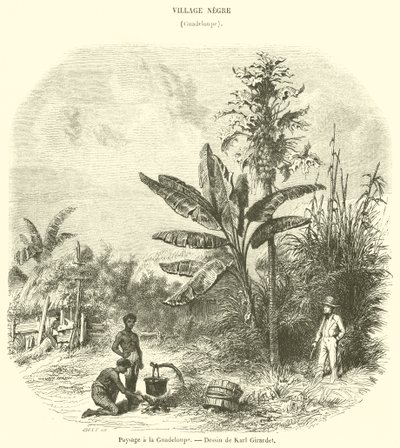 Krajina na Guadeloupe (rytina) od French School