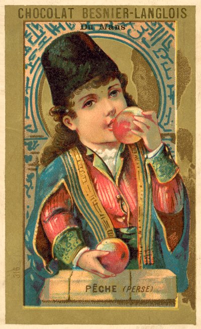 Broskve z Persie (chromolitho) od French School