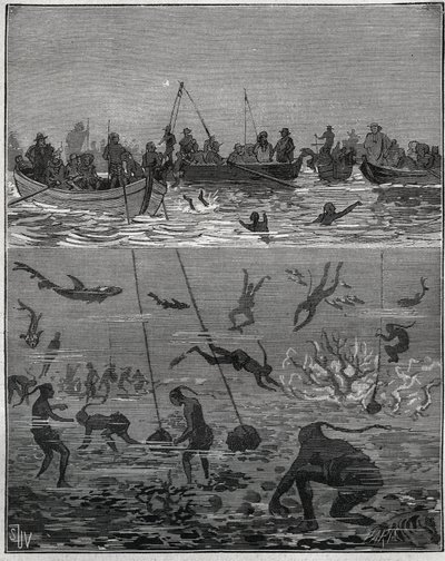 Perlovci na Cejlonu (dnešní Srí Lanka) v 19. století. Rytina z roku 1885 v „“Les arts et metiers illustres““ od Adolpha BITARDA. od French School