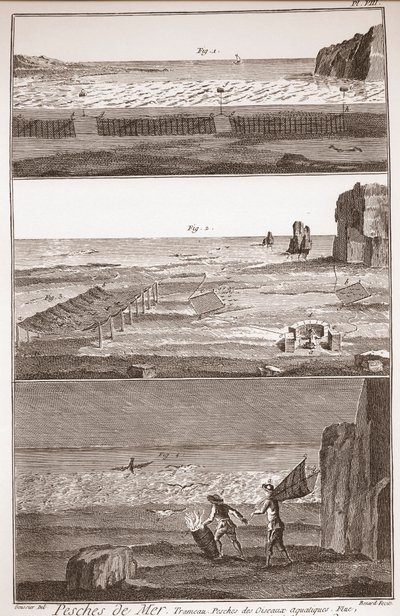 Peche de Mer - Trameau - Rybolov vodních ptáků - "" Velká encyklopedie nebo Dictionnaire Raisonne des Sciences, des Arts et des Metiers" (Encyklopedie nebo slovník věd, umění a profesí) Denis Diderot (1713-1784) a Jean d Alembert (171 od French School