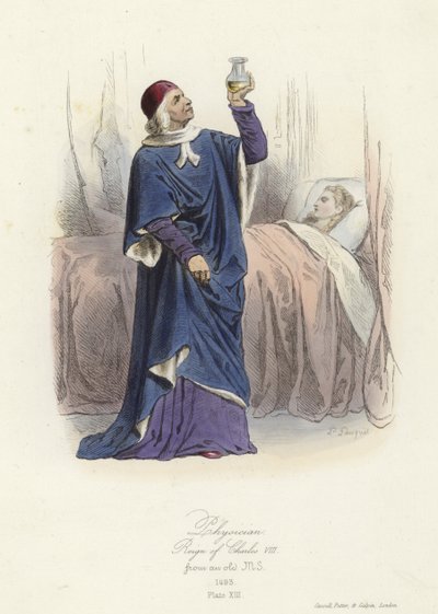 Lékař za vlády francouzského Karla VIII od French School