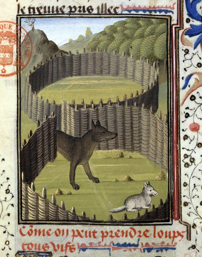 Piege a wolf - v "" Lovecké knize Gastona Phoebuse, hraběte z Foix, lorda z Béarnu"" od French School