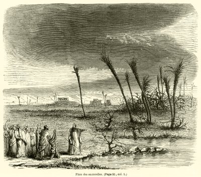 Plague of the Grasshoppers (rytina) od French School
