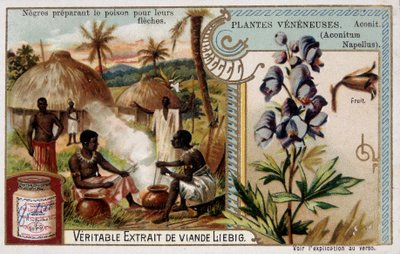 Jedovaté rostliny: akonit a afričan připravující jed pro své šípy - chromo. Liébig, konec 19. století od French School