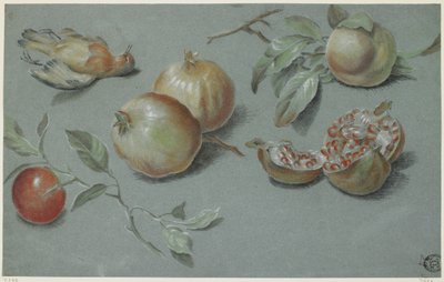 Granátová jablka a mrtvý pták, počátek 19. století (křída na papíře) od French School