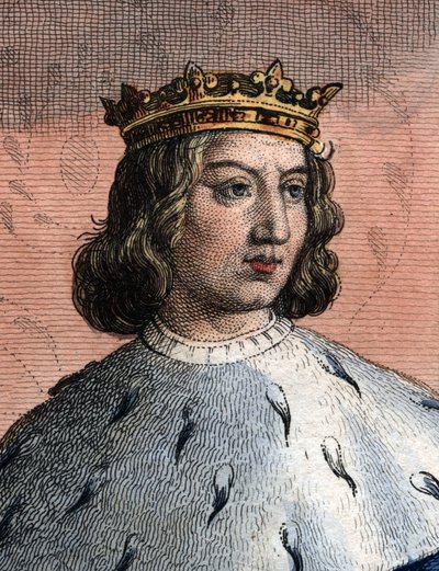 Portrét francouzského Karla V., zvaného Moudrý (1338-1380), francouzského krále. od French School